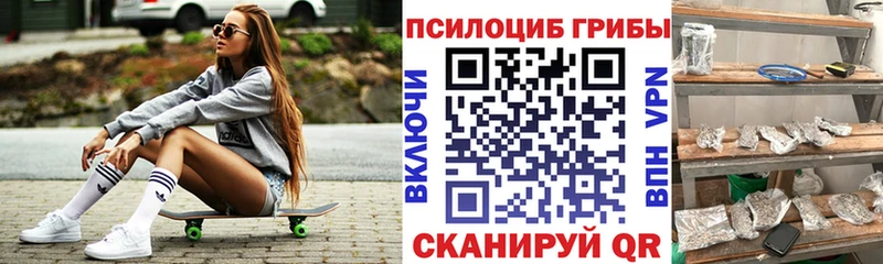 блэк спрут ссылки  Городовиковск  Галлюциногенные грибы GOLDEN TEACHER  дарнет шоп 